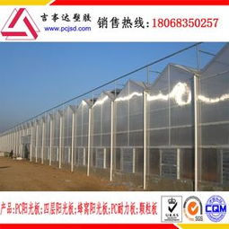 計算機圖文設(shè)計 數(shù)字化時代的創(chuàng)意表達與技術(shù)融合